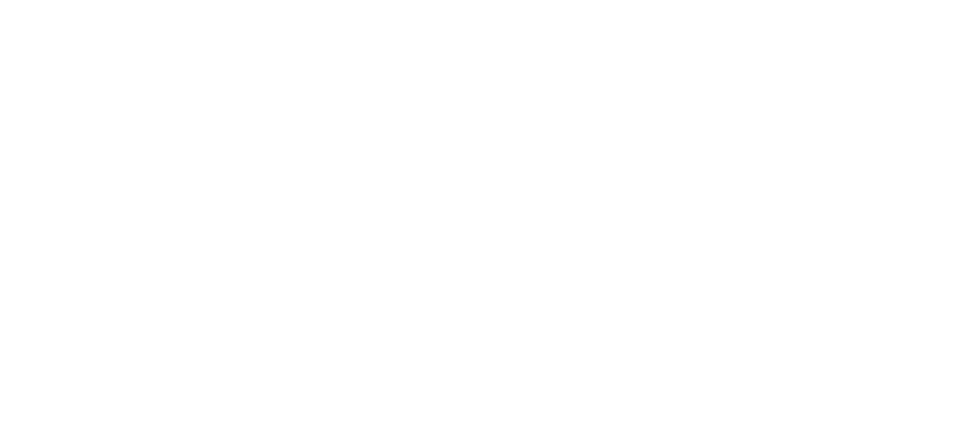 netcore